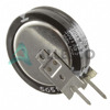 EEC-S5R5V105N