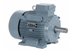 Squirrel Cage Induction Motor: Arbejdsprincip, typer, fordele og anvendelser